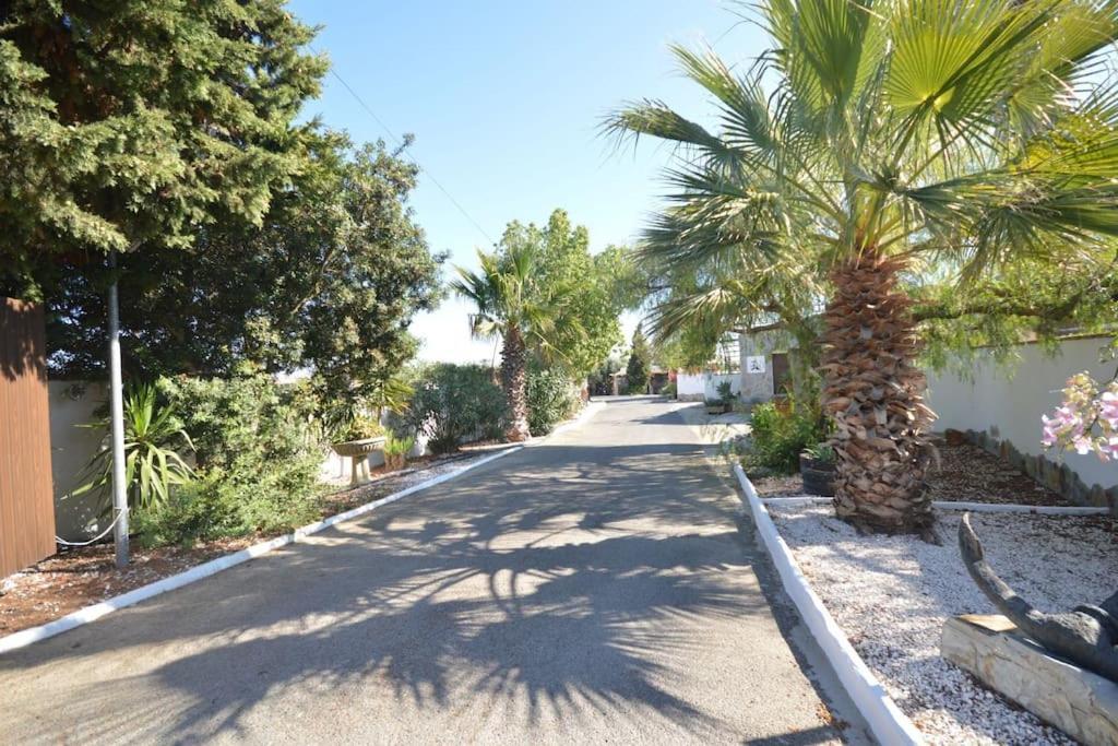 Casas Paqui Y Pablo Con Piscina Compartida En Conil Villa Конил-де-ла-Фронтера Екстериор снимка